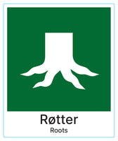 Røtter