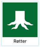 Røtter